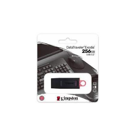 Kingston dtX 256 eXodia t a g1