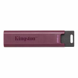 Kingston 512G dt Max t C gen2