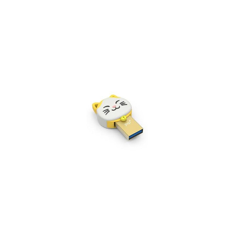 Pqi 16gb Connect303   Gold