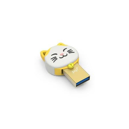 Pqi 16gb Connect303   Gold