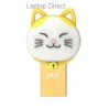 Pqi 16gb Connect303   Gold