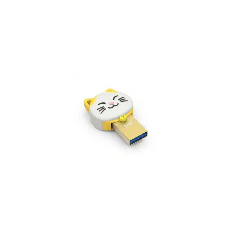 Pqi 32gb Connect303   Gold