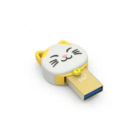 Pqi 32gb Connect303   Gold