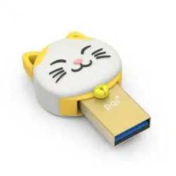 Pqi 64gb Connect303   Gold
